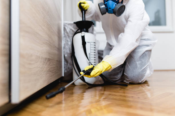 Trusted Crandon Lakes, NJ Pest Control Experts