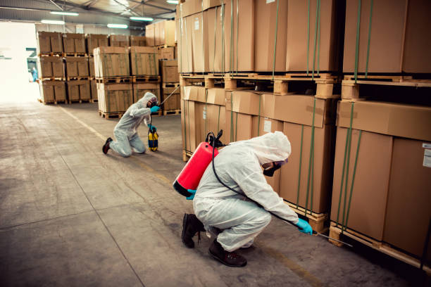 Best Emergency Pest Control  in Crandon Lakes, NJ
