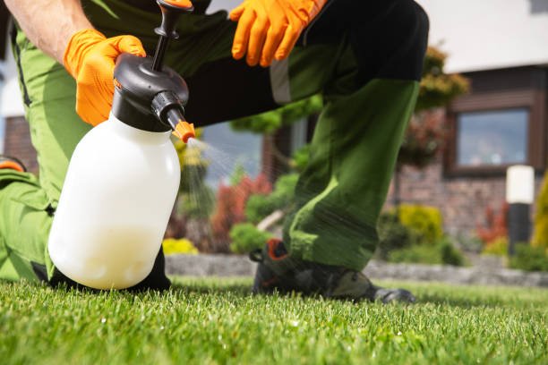 Best Pest Control for Restaurants  in Crandon Lakes, NJ