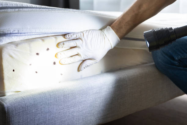 Best Bed Bug Extermination  in Crandon Lakes, NJ