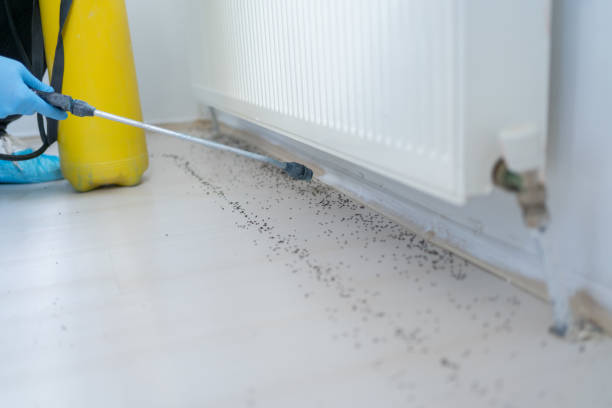 Reliable Crandon Lakes, NJ Pest Control Solutions