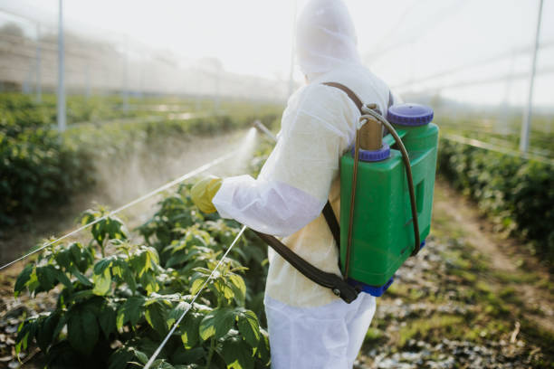 Best Pest Control Near Me  in Crandon Lakes, NJ